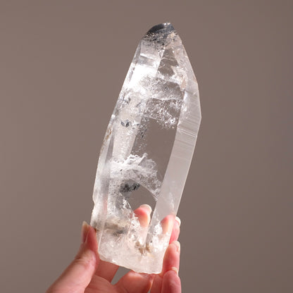 XL Black Phantom Lemurian Quartz Point | Black Lemurian Seed Crystal
