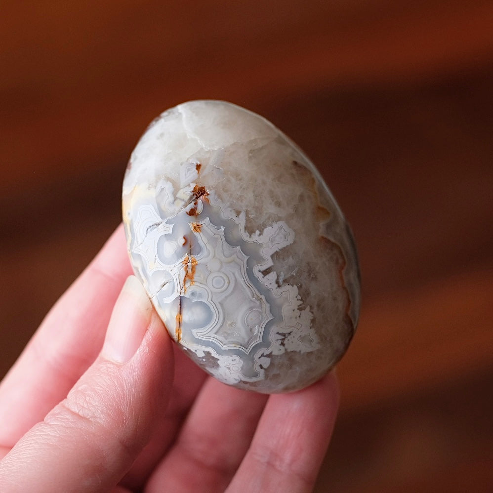 Grey Crazy Lace Agate Palm | Mexican Crazy Lace Crystal Palm