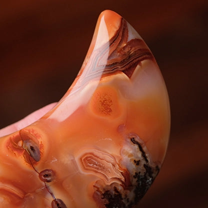 Carnelian Moon & Stand | Carved Crystal Moon Display Set