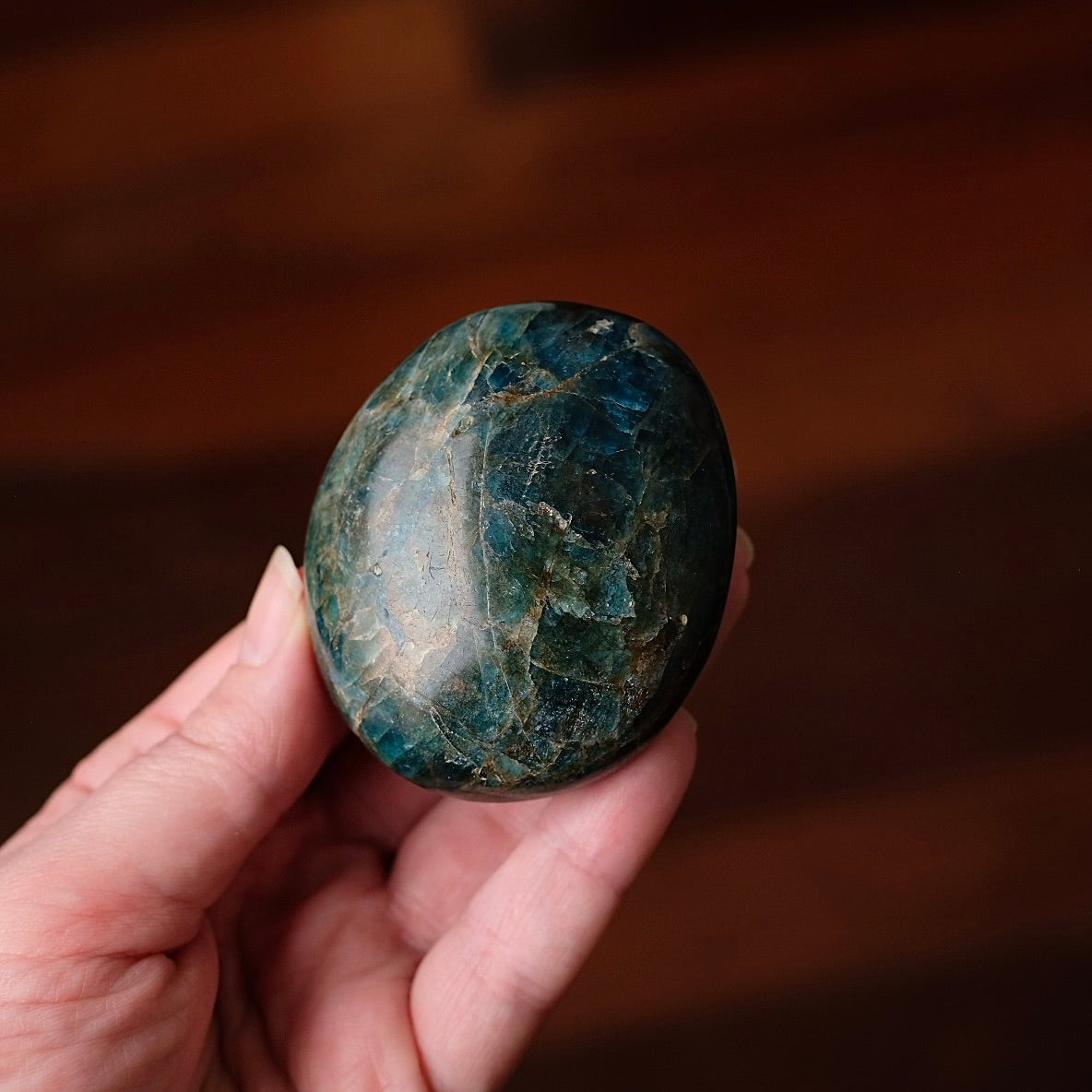 XL Apatite Palm | Dark Teal Blue Apatite Crystal Palmstone