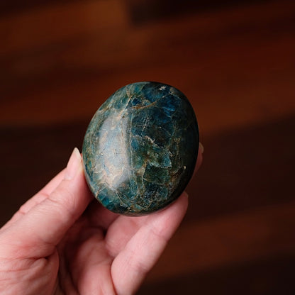 XL Apatite Palm | Dark Teal Blue Apatite Crystal Palmstone