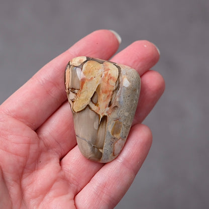 Australian Peanut Wood  | Polished Peanut Wood Crystal Freeform