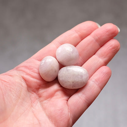 Set of 3 Kunzite Tumbles | Kunzite Tumbled Crystal