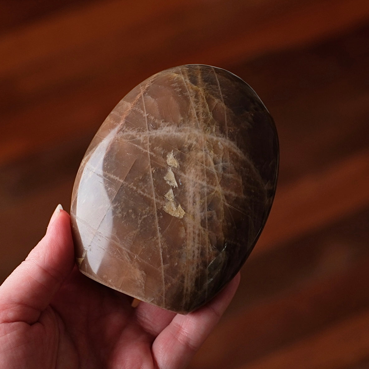 Chocolate Moonstone Freeform | Peach Moonstone Crystal Freeform