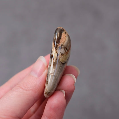 Australian Peanut Wood  | Polished Peanut Wood Crystal Freeform