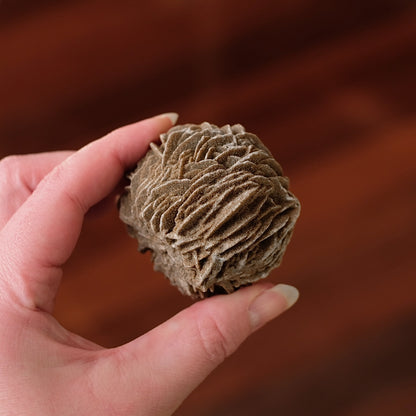 Desert Rose Selenite Specimen | Gypsum Raw Crystal