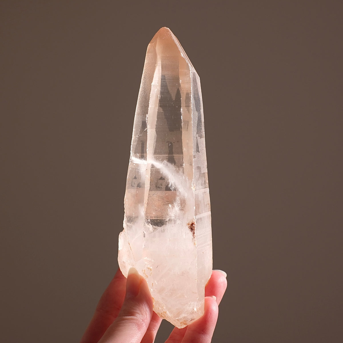 XL Scarlet Temple Lemurian Quartz Point | Pink Lemurian Seed Crystal