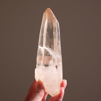 XL Scarlet Temple Lemurian Quartz Point | Pink Lemurian Seed Crystal