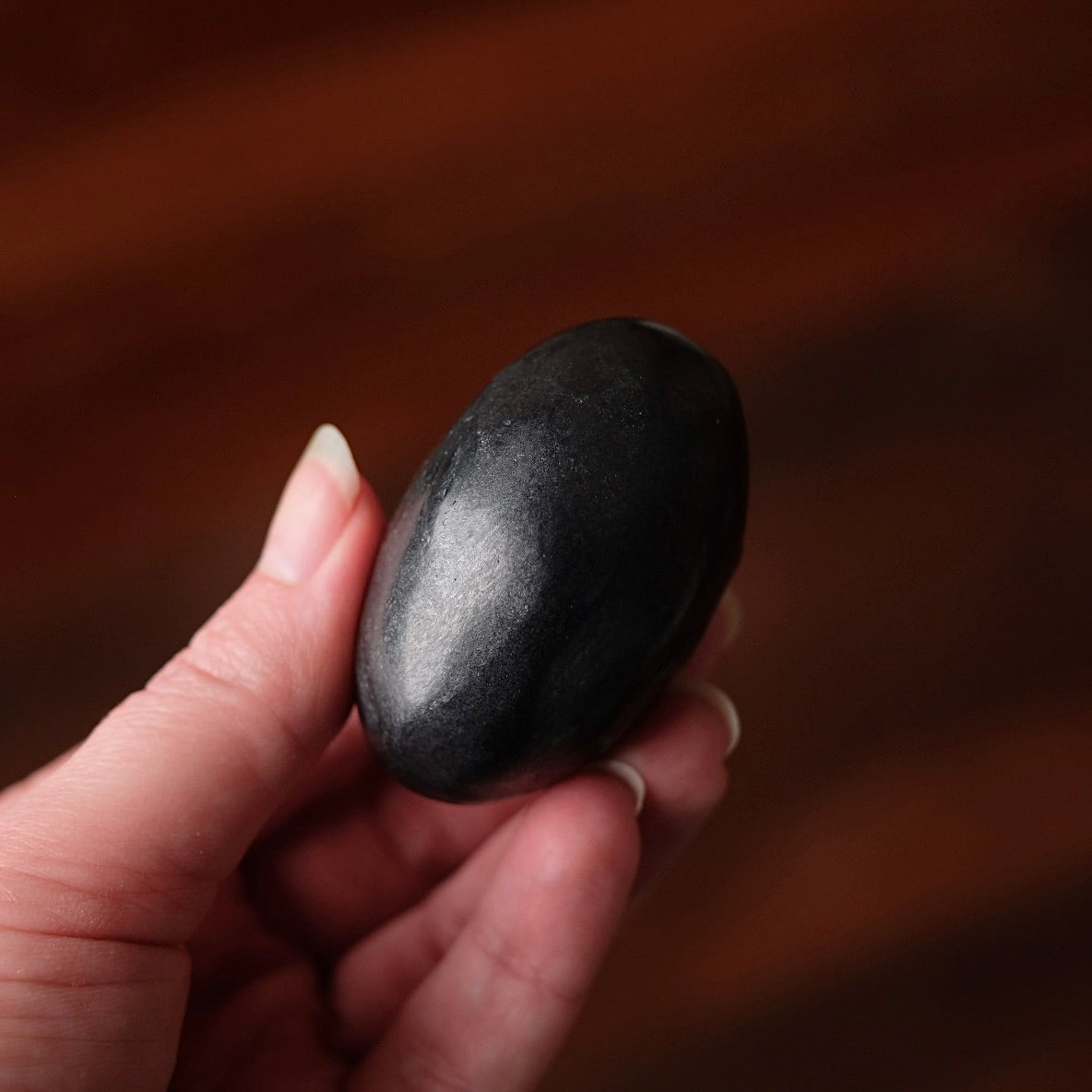 Shungite Palm | Shungite Crystal Palmstone