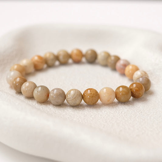 Fossilised Coral Bracelet | Coral Crystal Stretch Bracelet