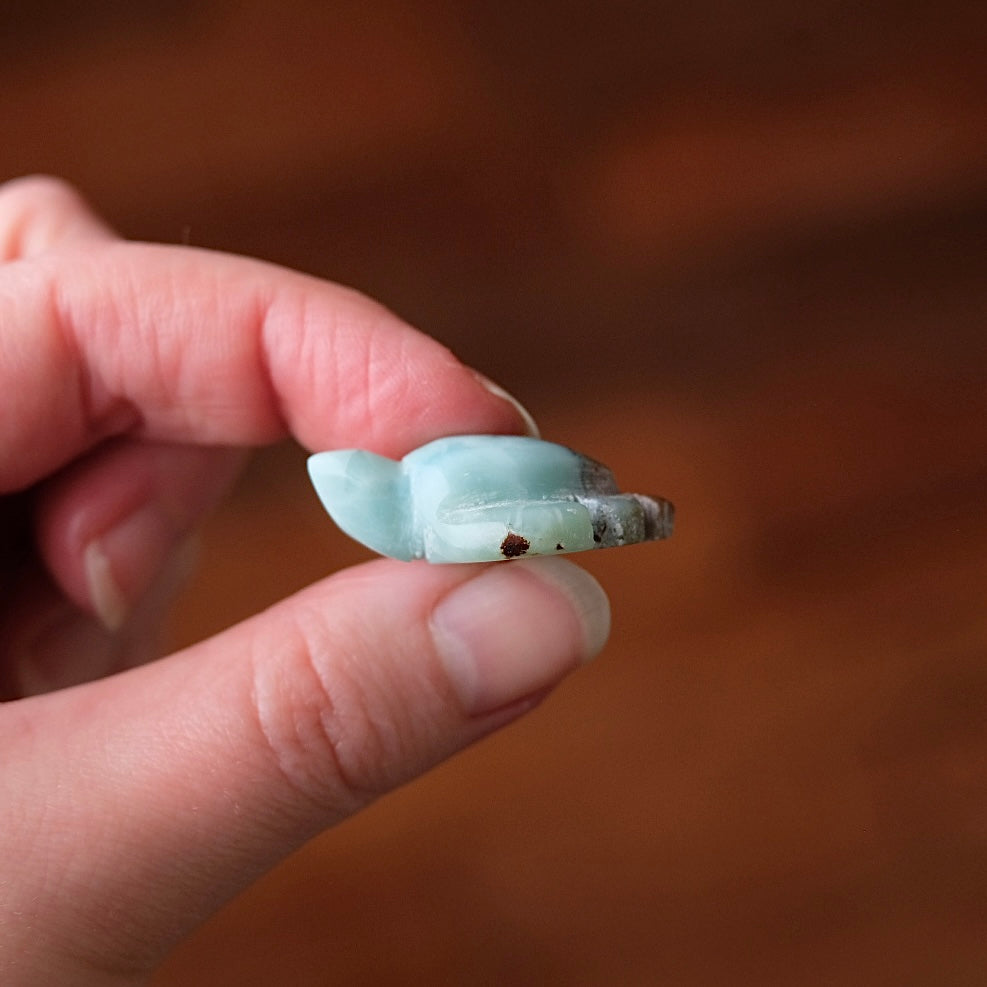 Larimar Turtle Carving | Crystal Animal | Crystal Turtle