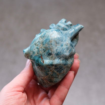 Apatite Anatomical Heart Carving | Human Crystal Heart
