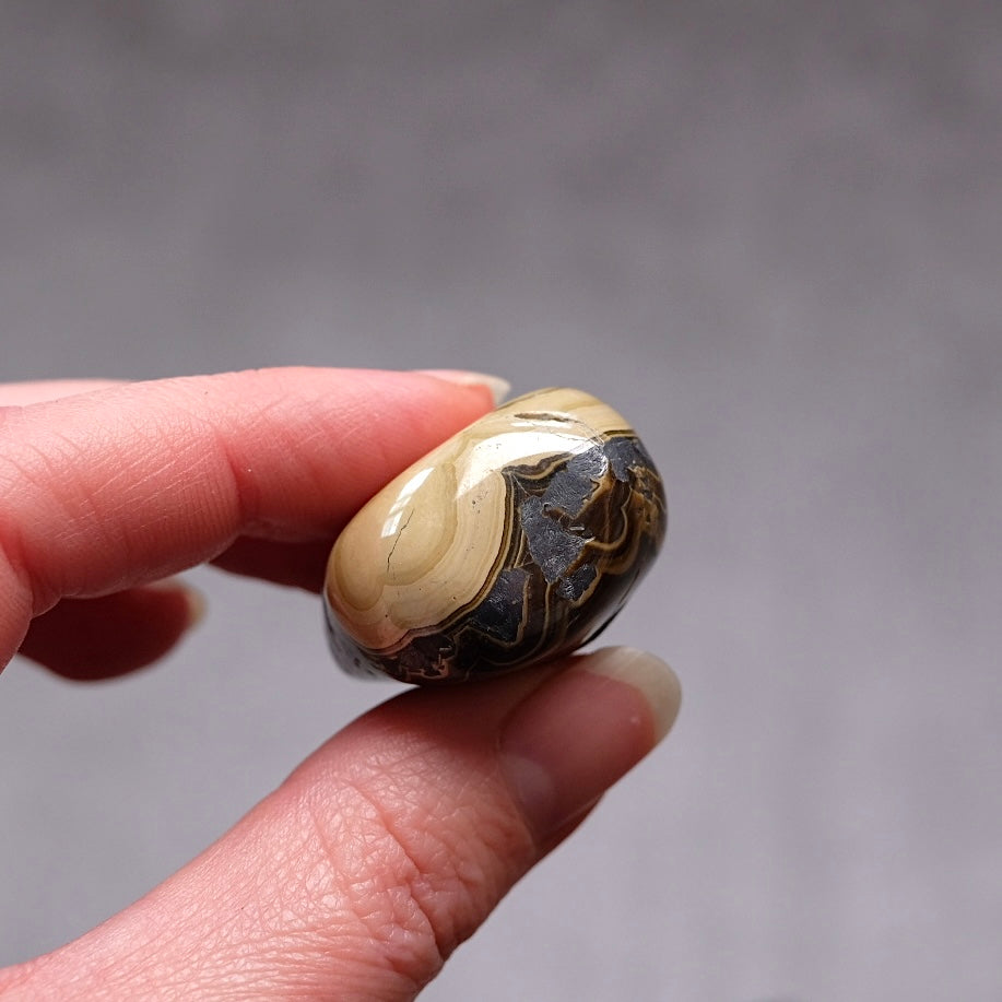 Schalenblende Tumble | Rare Tumbled Crystal | Pocket Stone