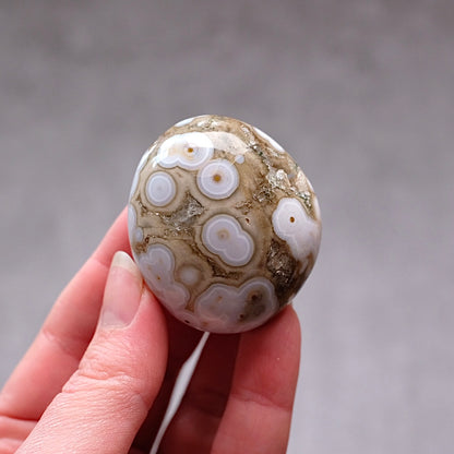 Old Stock Ocean Jasper Palm | Orbicular OJ Crystal Palmstone