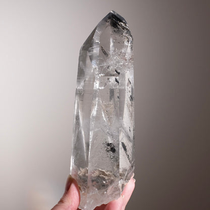 XL Black Phantom Lemurian Quartz Point | Black Lemurian Seed Crystal