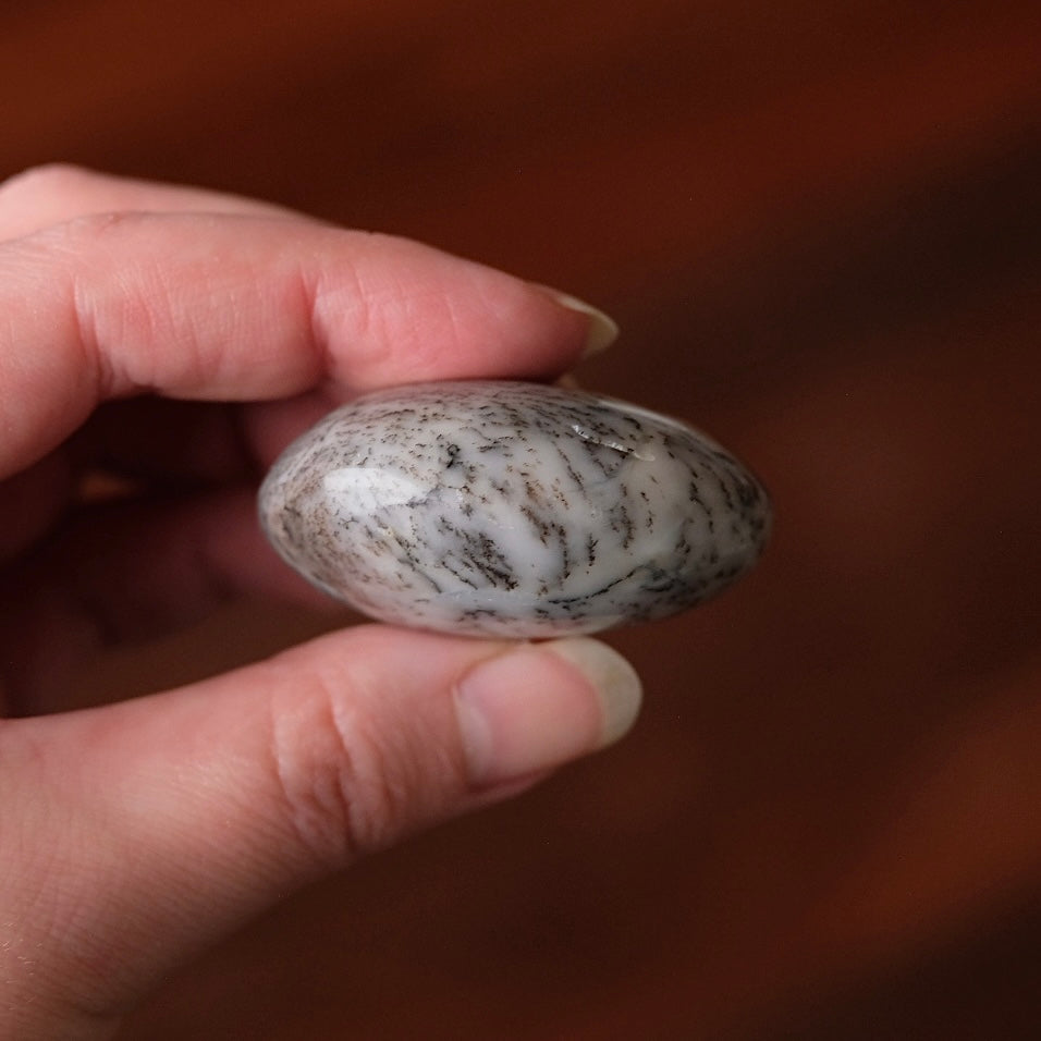 Merlinite Palm Stone | Dendritic Opal Palmstone