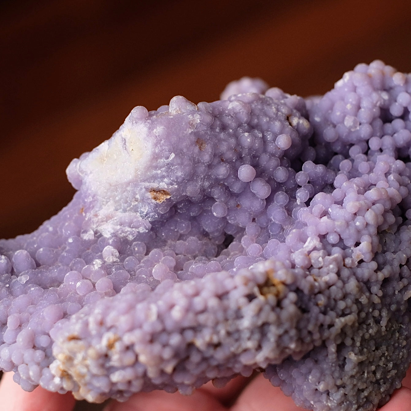 Druzy Grape Agate Crystal | Purple Botryoidal Chalcedony Crystal Specimen