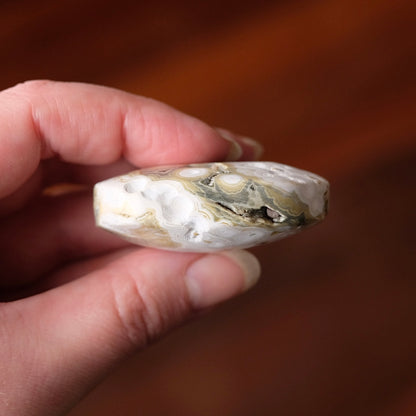 Ocean Jasper Palm | Sea Jasper Crystal Palmstone