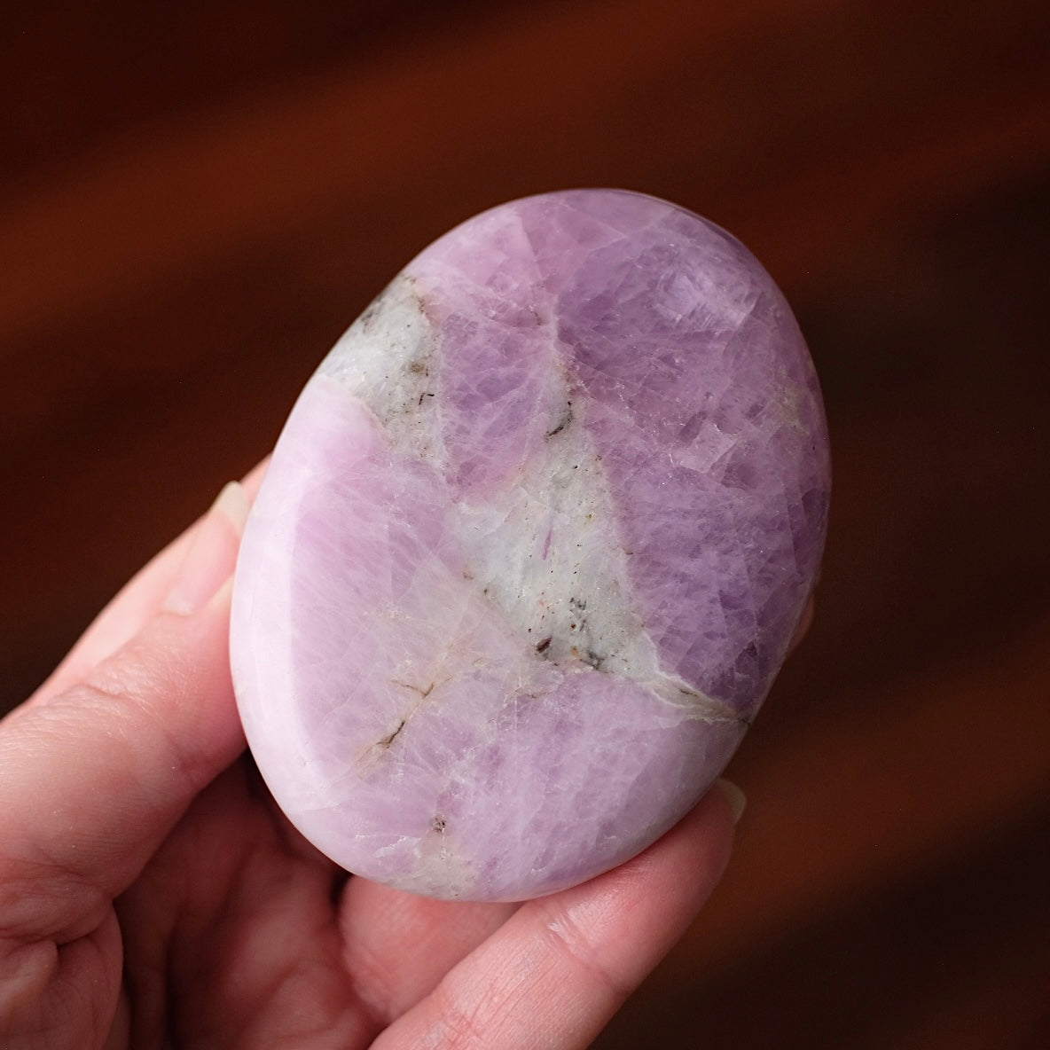Rare Kunzite Palm | Large Pink Kunzite Crystal Palm
