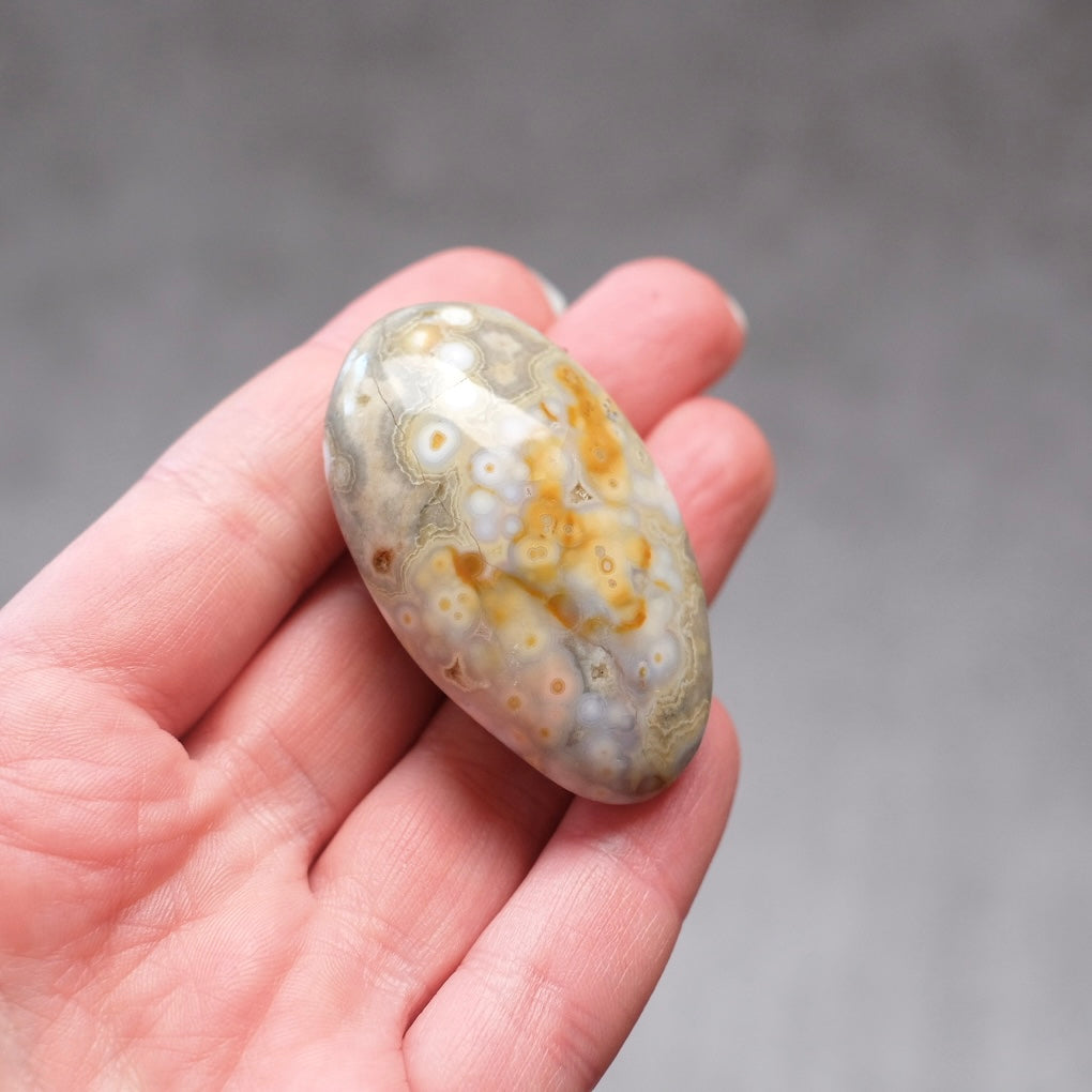 Ocean Jasper Palm | OJ Crystal Pocket Stone