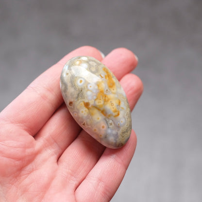 Ocean Jasper Palm | OJ Crystal Pocket Stone