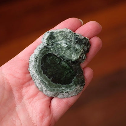 Seraphinite Slice + Stand | Polished Seraphinite Slab