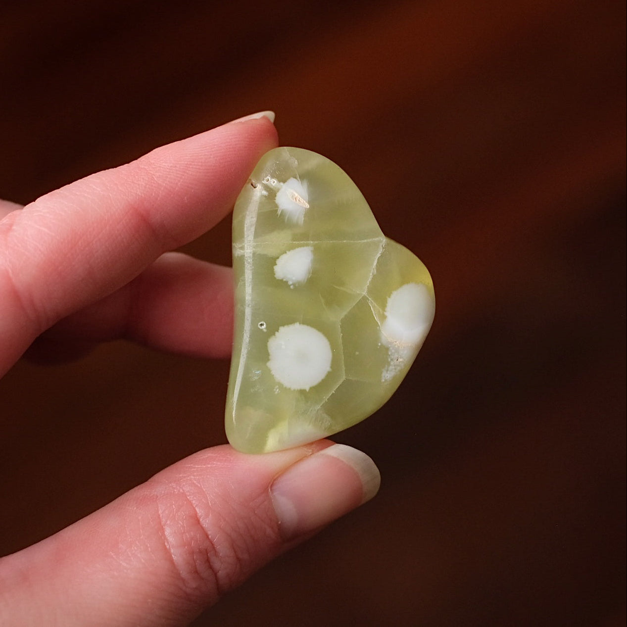 Australian Prehnite Freeform | Polished Prehnite Crystal