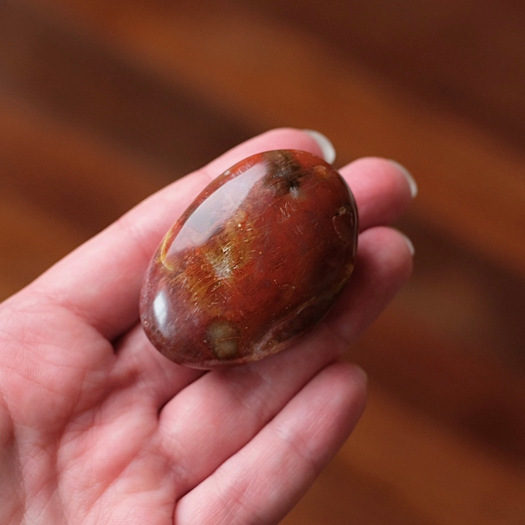 Red Petrified Wood Palm | Fossilized Wood Crystal Palmstone