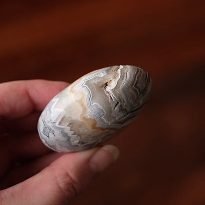Crazy Lace Agate Palm | Mexican Crazy Lace Crystal Palm