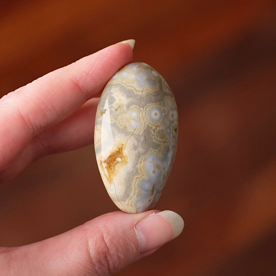 Ocean Jasper Palm | OJ Crystal Pocket Stone