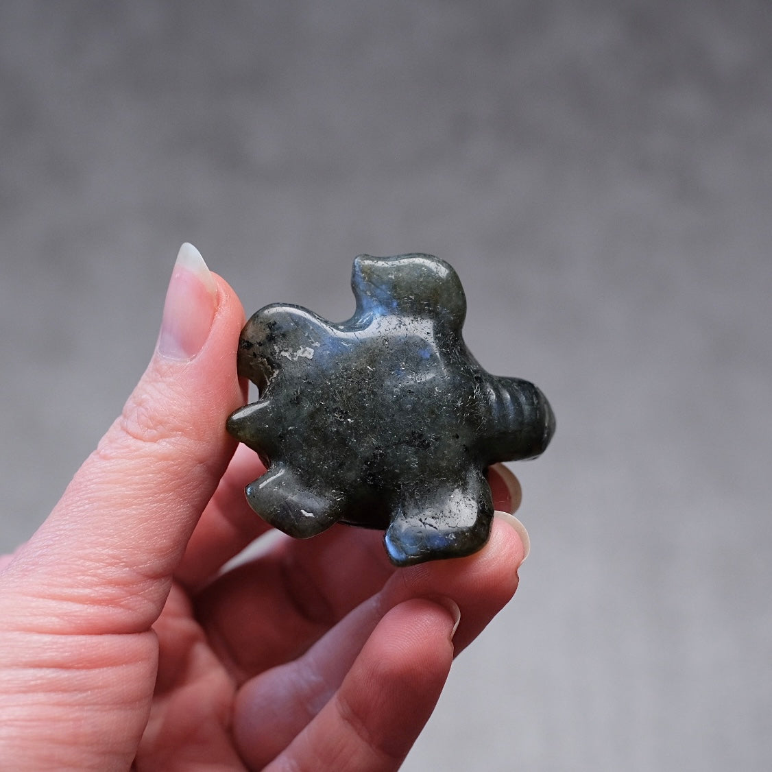 Labradorite Turtle Carving | Crystal Animal | Crystal Turtle