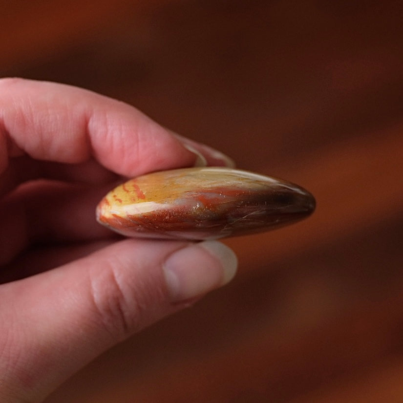 Red Petrified Wood Palm | Fossilized Wood Crystal Palmstone