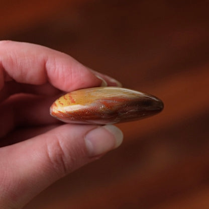 Red Petrified Wood Palm | Fossilized Wood Crystal Palmstone