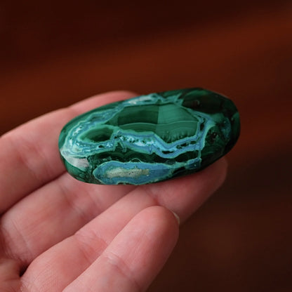Malachite Palm | Malachite Chrysocolla Crystal Palm