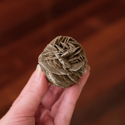 Desert Rose Selenite Specimen | Gypsum Raw Crystal