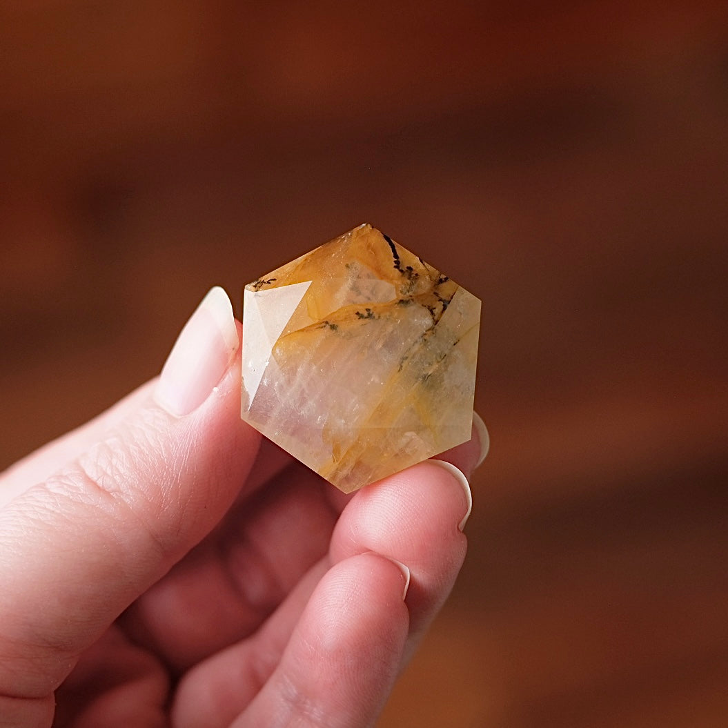 Dendritic Quartz Hexagon | Golden Healer Crystal Jewel | Star of David