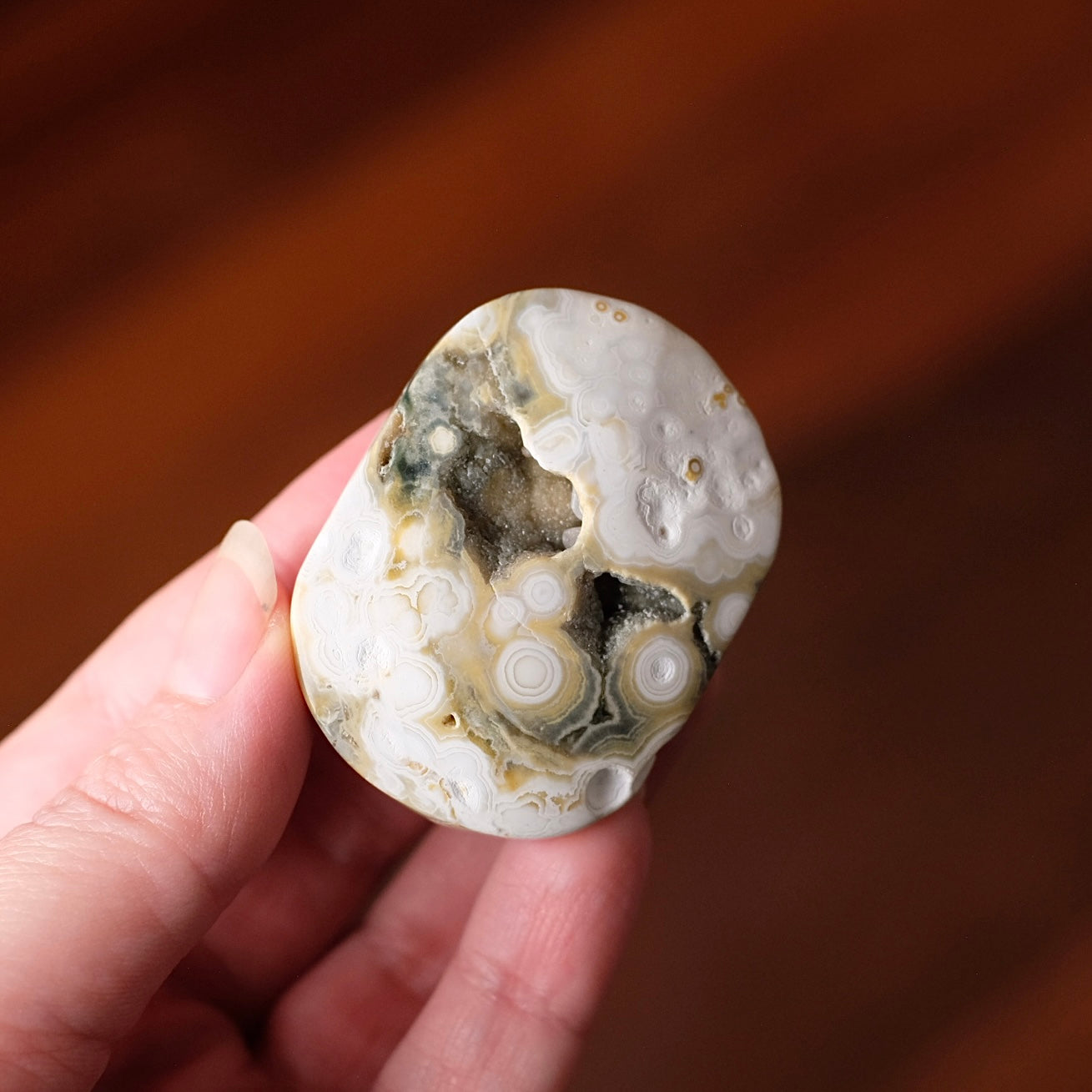 Ocean Jasper Palm | Sea Jasper Crystal Palmstone