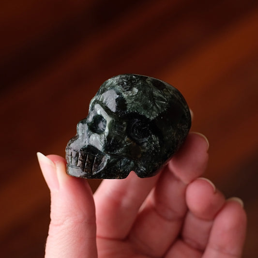 Seraphinite Crystal Skull | Rare Skull Carving