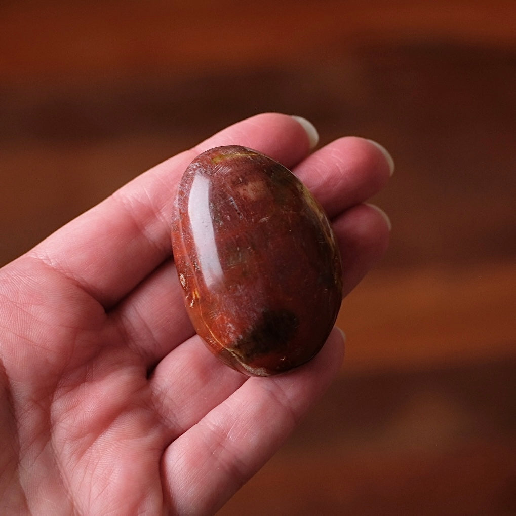 Red Petrified Wood Palm | Fossilized Wood Crystal Palmstone