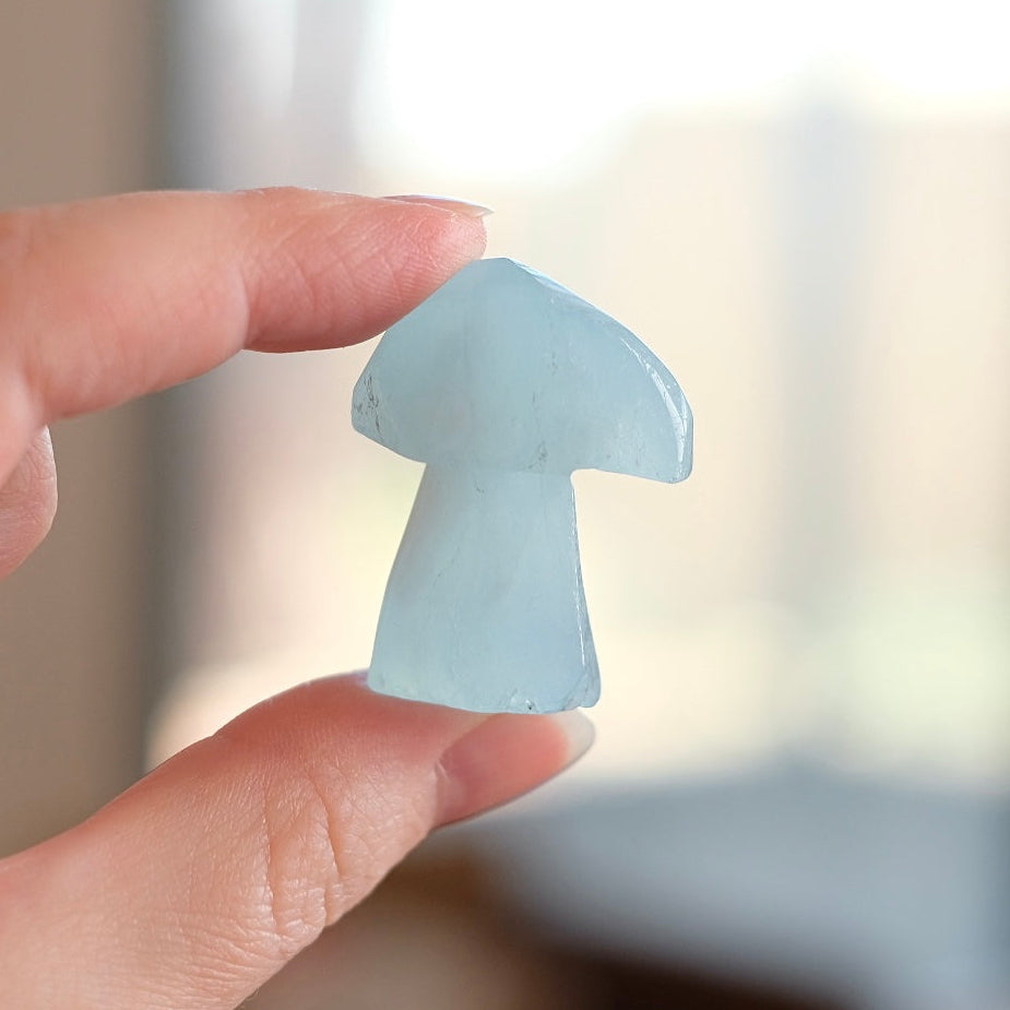 Aquamarine Mushroom | Crystal Mushroom Carving