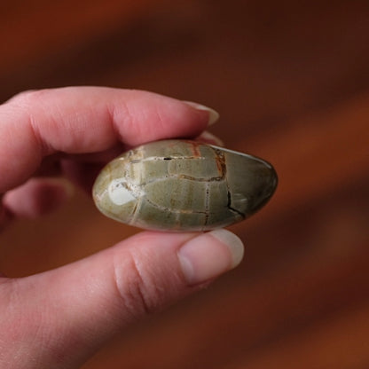 Ibis Jasper Palm | Brecciated Jasper Crystal Palmstone