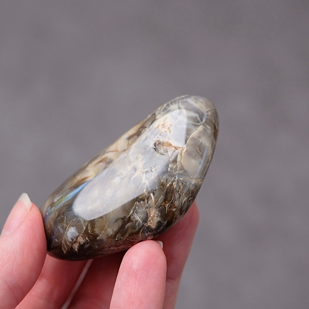 Australian Peanut Wood  | Polished Peanut Wood Crystal Freeform