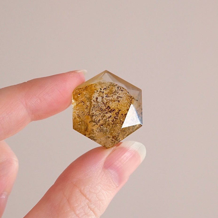 Dendritic Quartz Hexagon | Golden Healer Crystal Jewel | Star of David