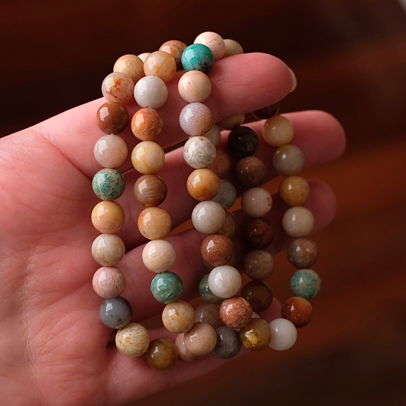 Colourful Fossilised Coral Bracelet | Coral Crystal Stretch Bracelet