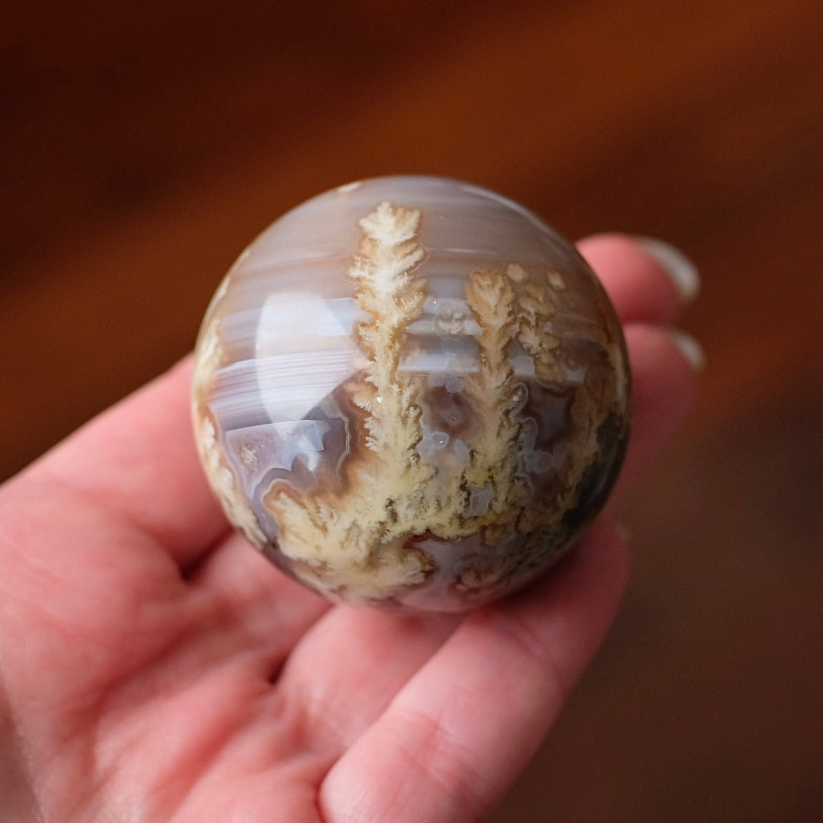 A hand holding a polished agate sphere featuring intricate dendritic crystal formations in shades of beige, brown, and gray against a warm, blurred wooden background.