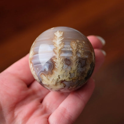 A hand holding a polished agate sphere featuring intricate dendritic crystal formations in shades of beige, brown, and gray against a warm, blurred wooden background.