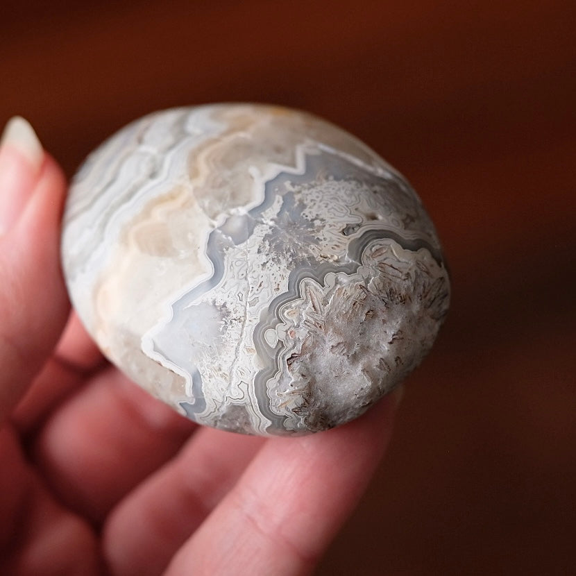 Crazy Lace Agate Palm | Mexican Crazy Lace Crystal Palm