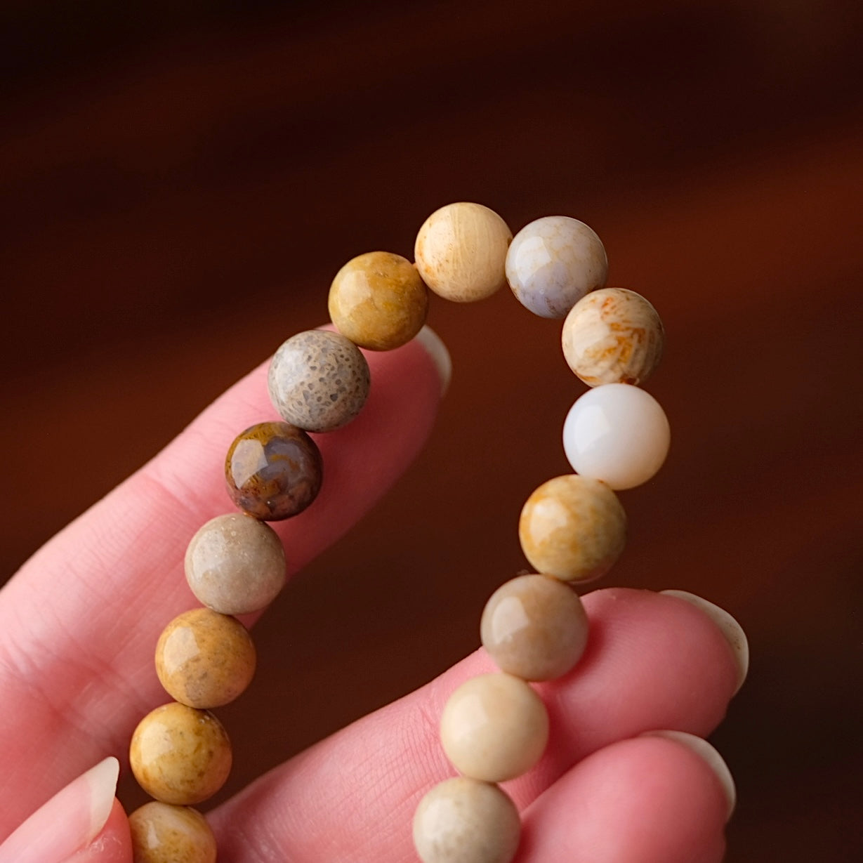 Fossilised Coral Bracelet | Coral Crystal Stretch Bracelet
