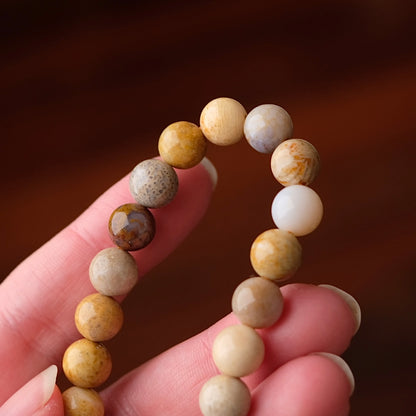 Fossilised Coral Bracelet | Coral Crystal Stretch Bracelet