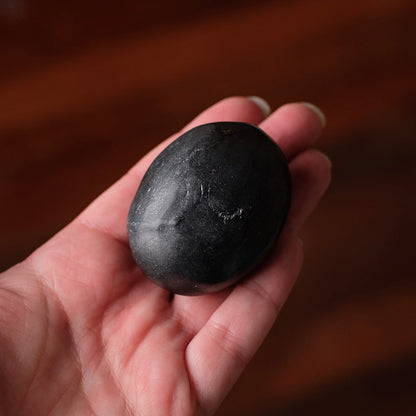 Shungite Palm | Shungite Crystal Palmstone